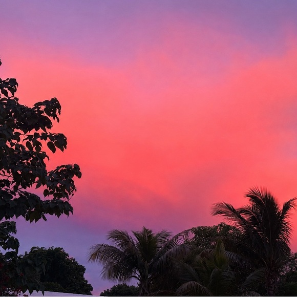 littlegemsmiami